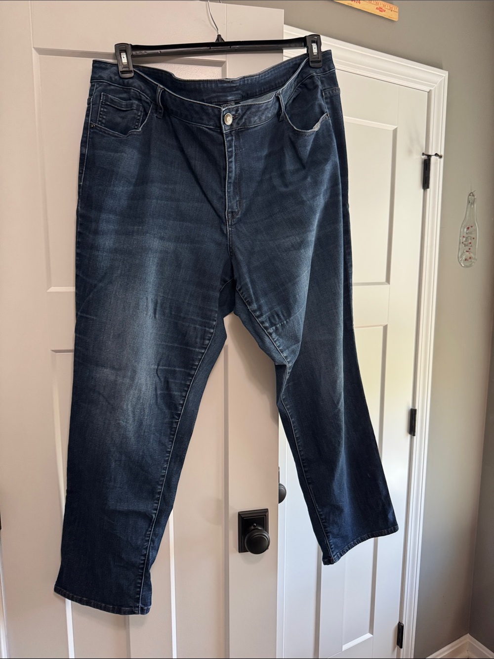 Venezia Women's Straight Leg Jeans in Indigo Blue